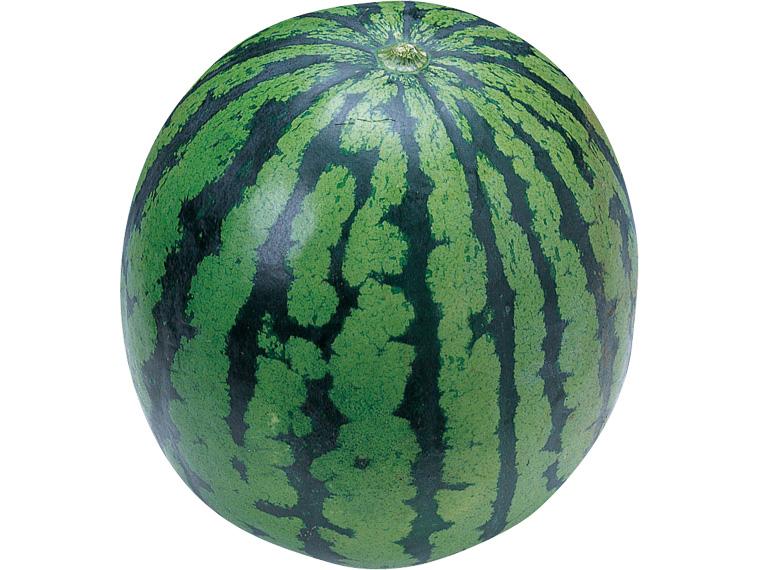 金沢すいか 1玉（3.8kg）