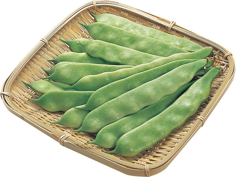 モロッコいんげん 80g