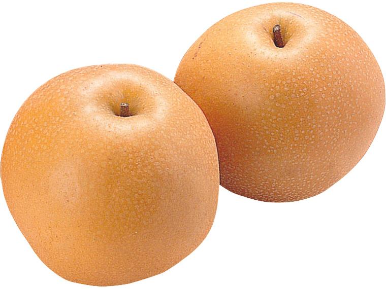 梨（豊水） 2玉（600g）