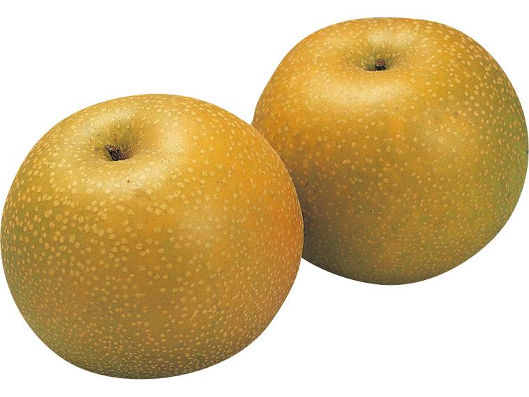 梨（幸水） 2玉（600g）