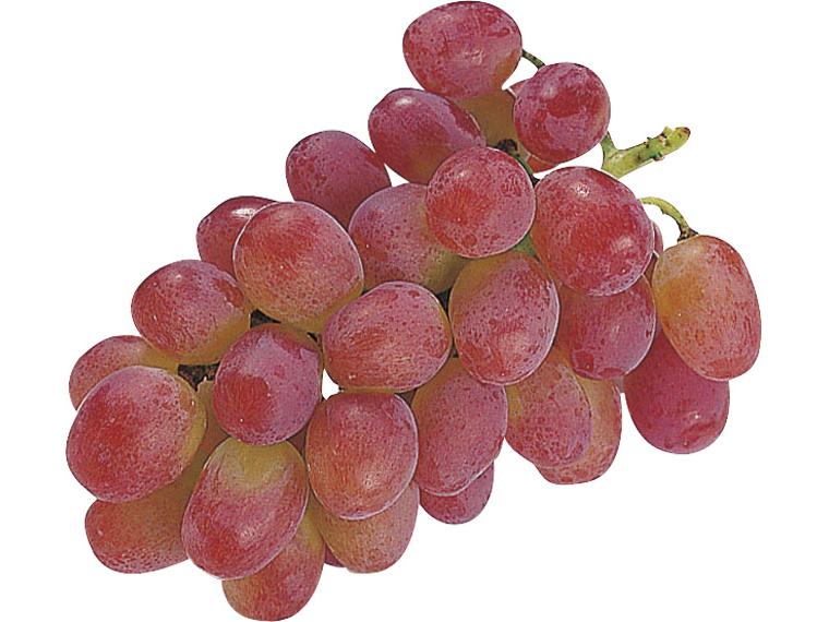 富山県山間部産 旬の農産物リピート&継続購入お得意様ご