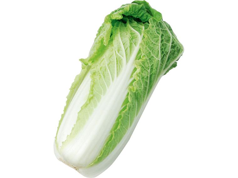 有機高原ベビー白菜 1株（600g）
