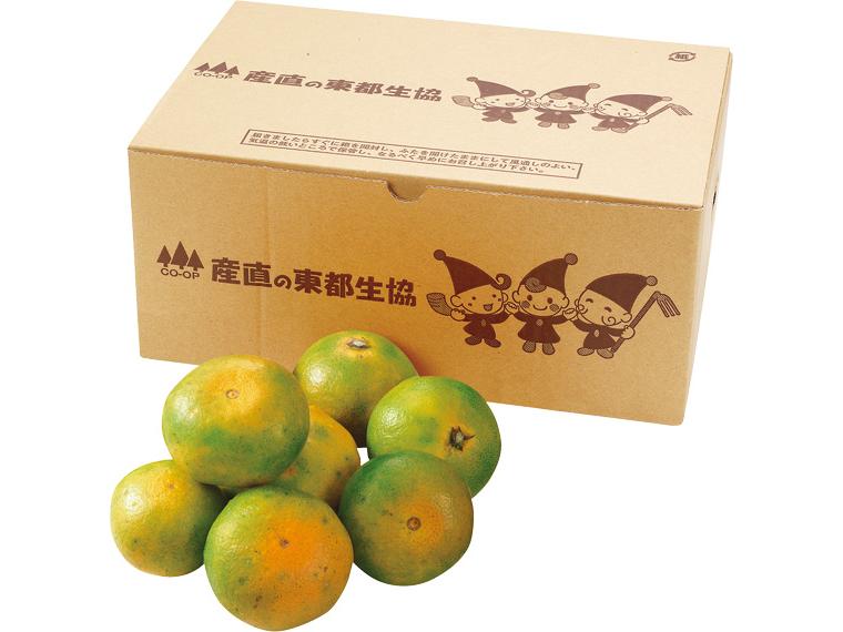 大矢野(熊本)極早生みかん 2.5kg箱（2S〜L）