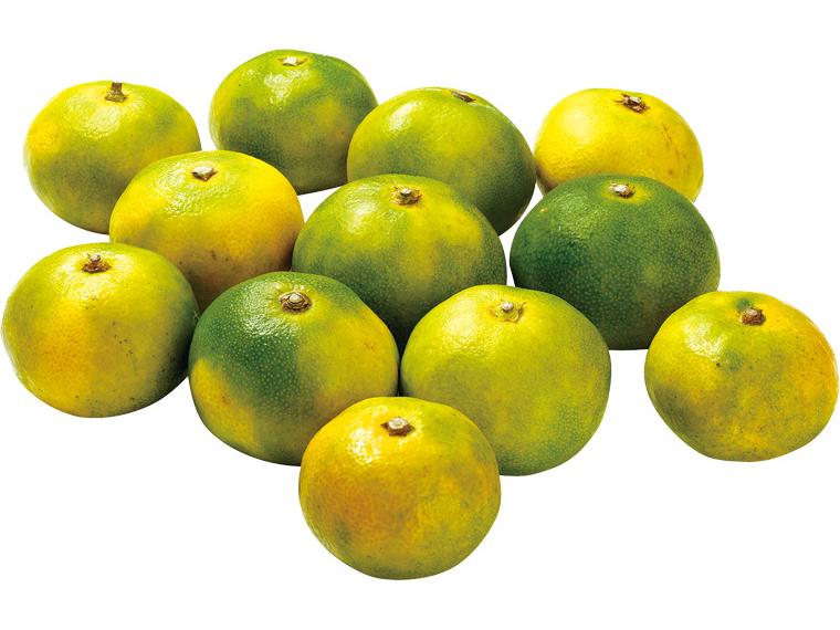 極早生みかん（大袋） 1.2kg（2S〜L）