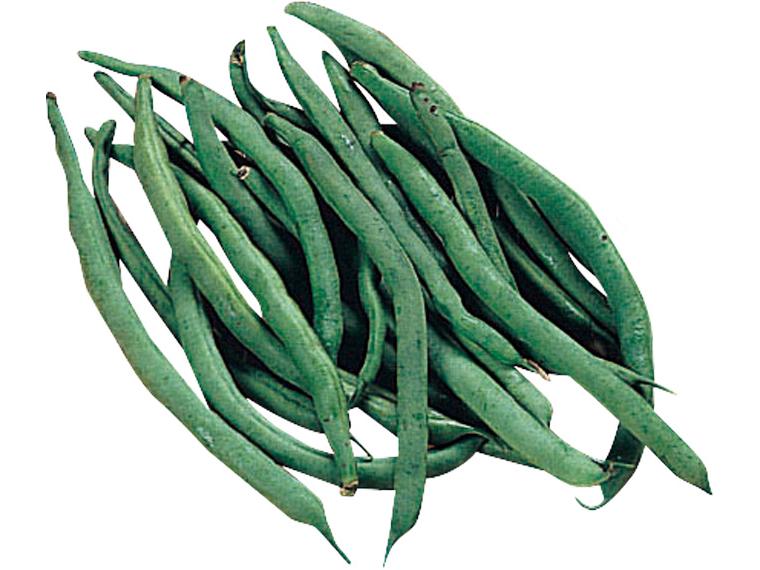 徳用いんげん 120g(曲がり込み)