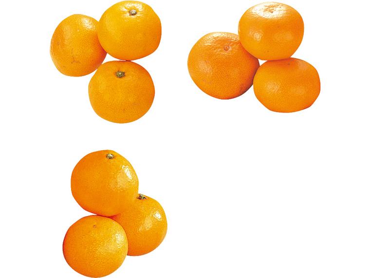 産地別　早生みかん　食べ比べセット 900g（300g×3）
