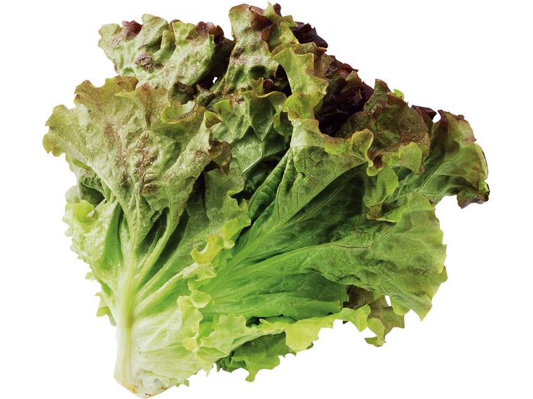 有機サニーレタス 1株