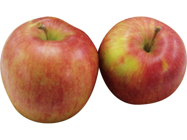 りんご（シナノスイート） 700g（2〜3玉）