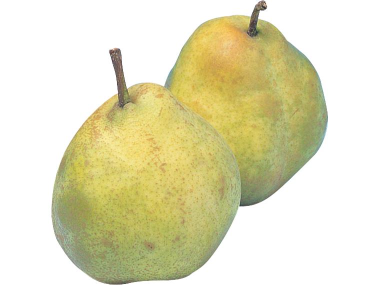 大玉洋梨(ラ・フランス) 2玉（540g）