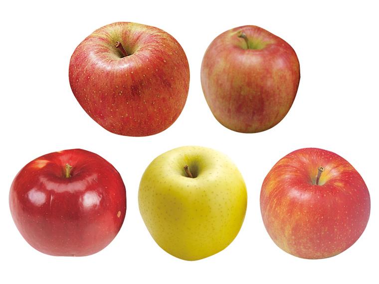 もったいないりんご天候被害果９００ｇ　