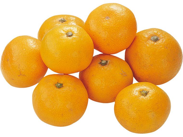 味もっこす（熊本）早生みかん（光ｾﾝｻｰ選別） 800g（2S〜L）