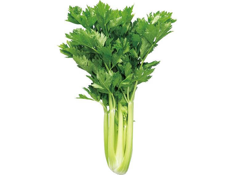 山形ひめセルリー 1株(600g)