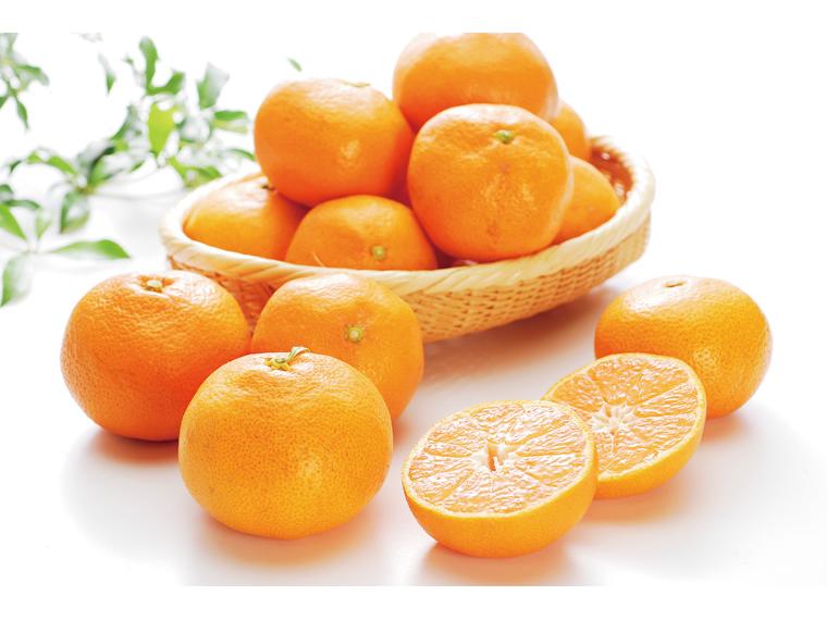 大矢野(熊本)早生みかん 2kg箱（2S〜L）