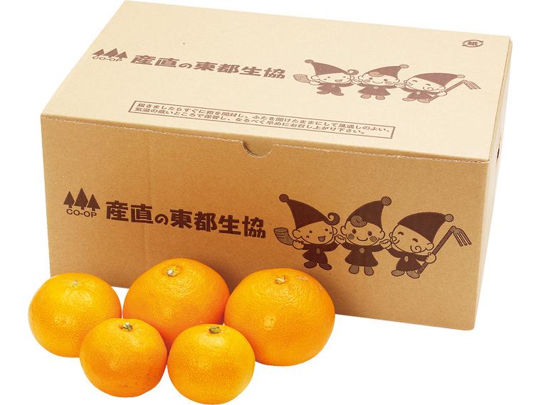 紀ノ川(和歌山)早生みかん 2kg箱（2S〜L）