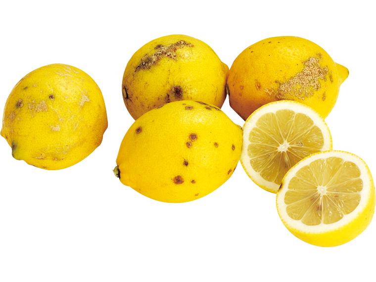 もったいない国産レモン 700g大小込み（5〜9玉）