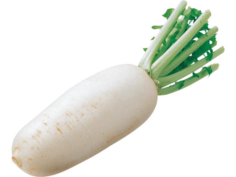 有機短大根 1本(400g)