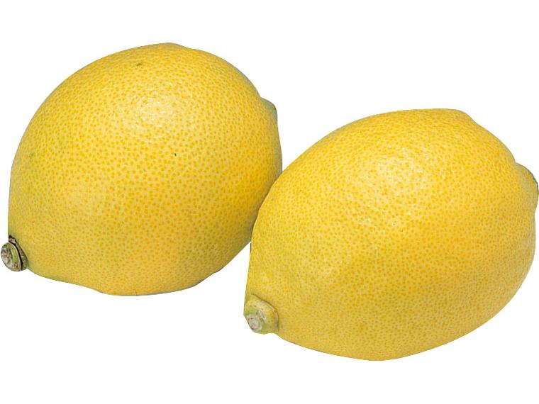 国産レモン 2玉