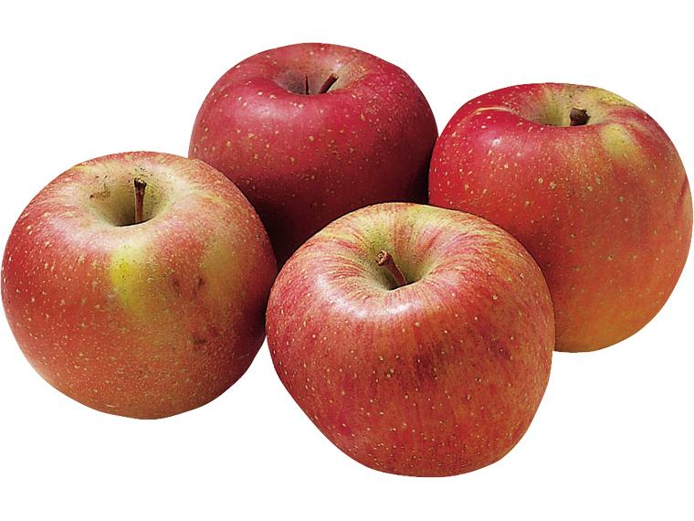 信州無袋りんご（蜜入りふじ）大袋 1.2kg（4〜6玉）