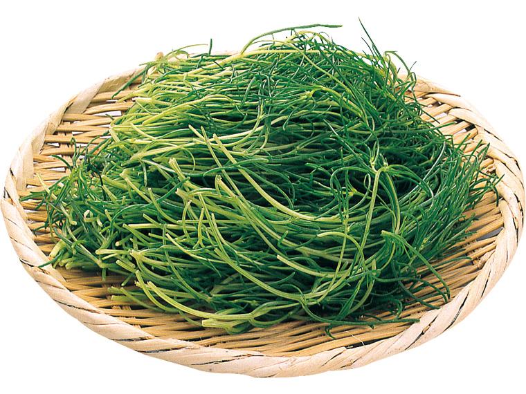 有機おかひじき 100g