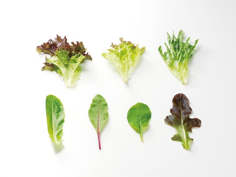 レタスが入ったベビーリーフ 50g