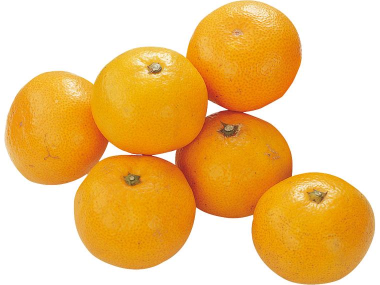 みかん 600g（2S〜L）