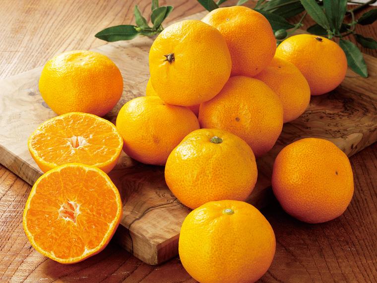 みかん 600g（2S〜L）