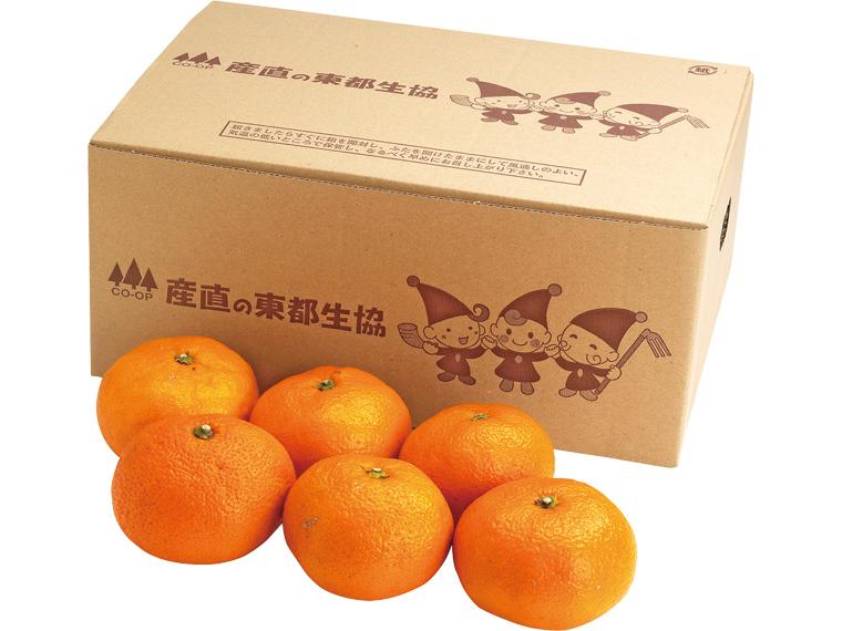 青島みかん(箱規格） 2kg箱（M〜3L）