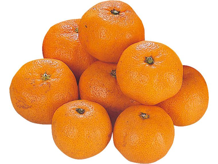 愛媛みかん(南柑20号) 800g（S〜2L）