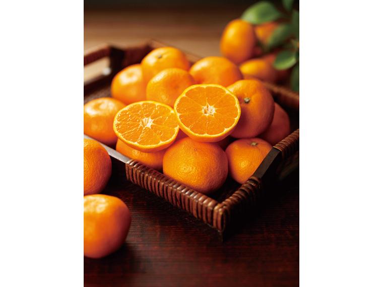 愛媛みかん(南柑20号) 800g（S〜2L）