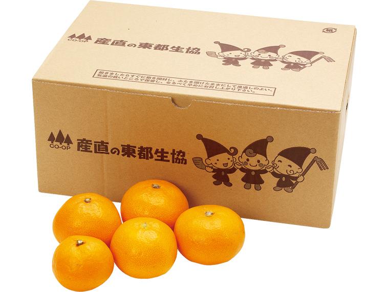 大矢野（熊本）みかん２ｋｇ箱　　　　　