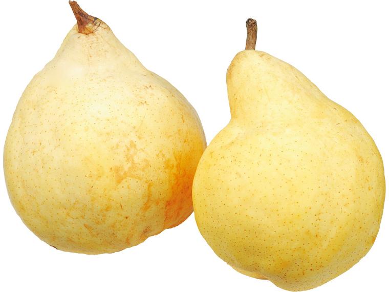 洋梨（ル　レクチェ） 2玉（450g）