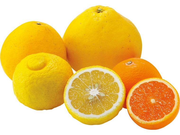 登録　朝のかんきつ（受付）毎週 4種