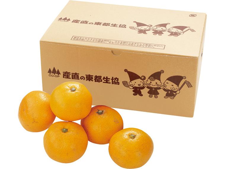 味もっこす（熊本）みかん（光センサー選別） 2kg箱（2S〜L）