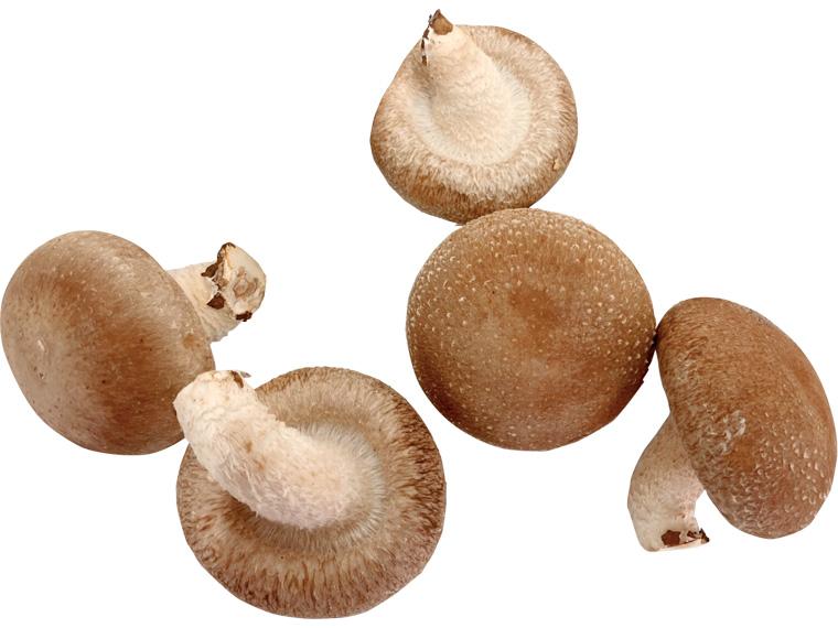 矢澤農園生しいたけ（菌床栽培） 150g