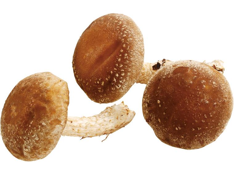 有機生しいたけ（菌床栽培） 60ｇ(2L）