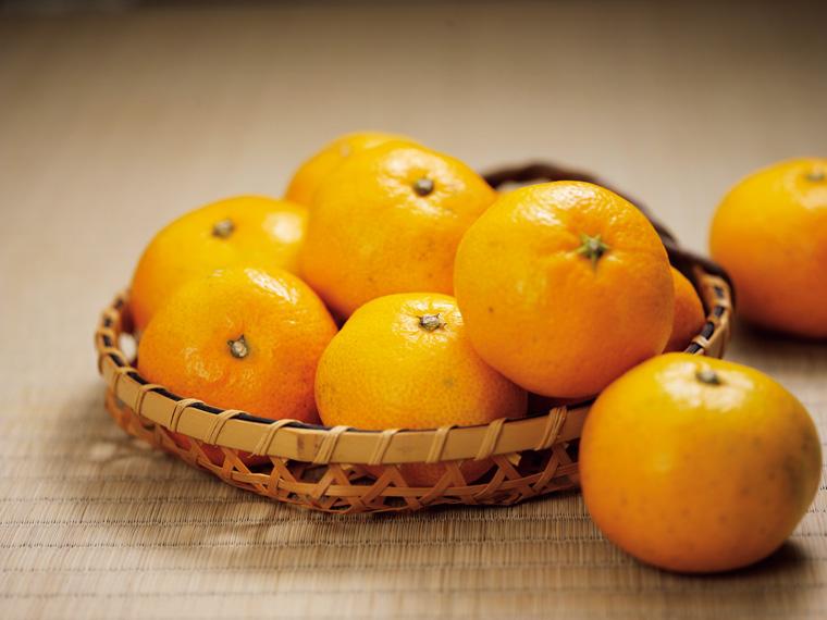 有機みかん 600g（2S〜L）