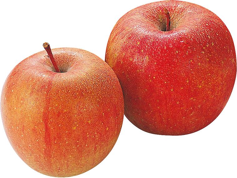 信州無袋りんご(ふじ) 700g（2〜3玉）