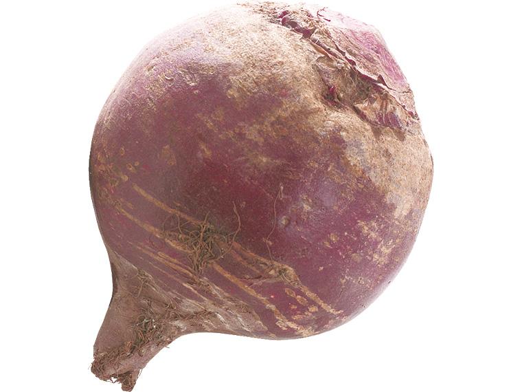 北海道産ビーツ 1玉