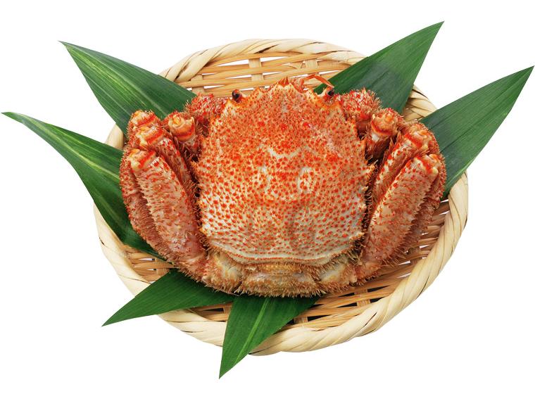 北海道枝幸産毛がに 1尾440g