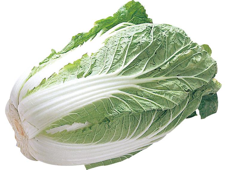 白菜 1株