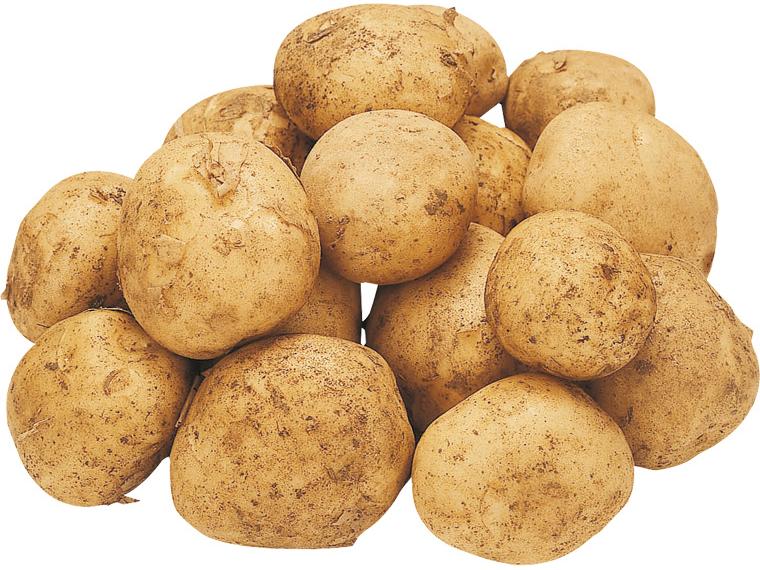 じゃがいも（男爵）（大袋） 1.2kg