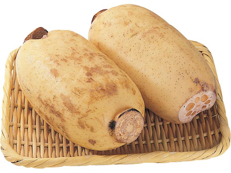 れんこん（大パック） 600g