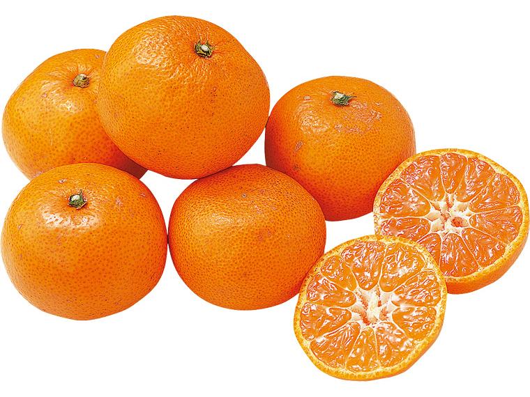 糖度保証　有田（和歌山）みかん 600g（2S〜L）