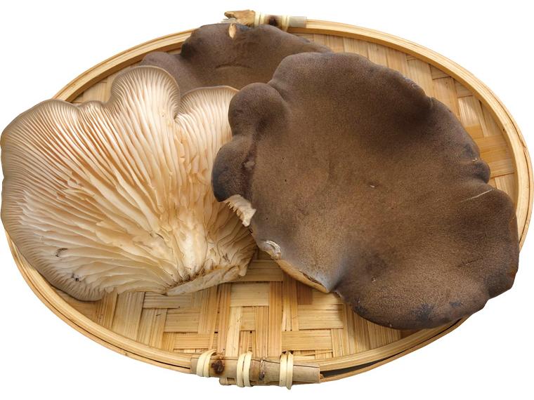 黒あわび茸 100g