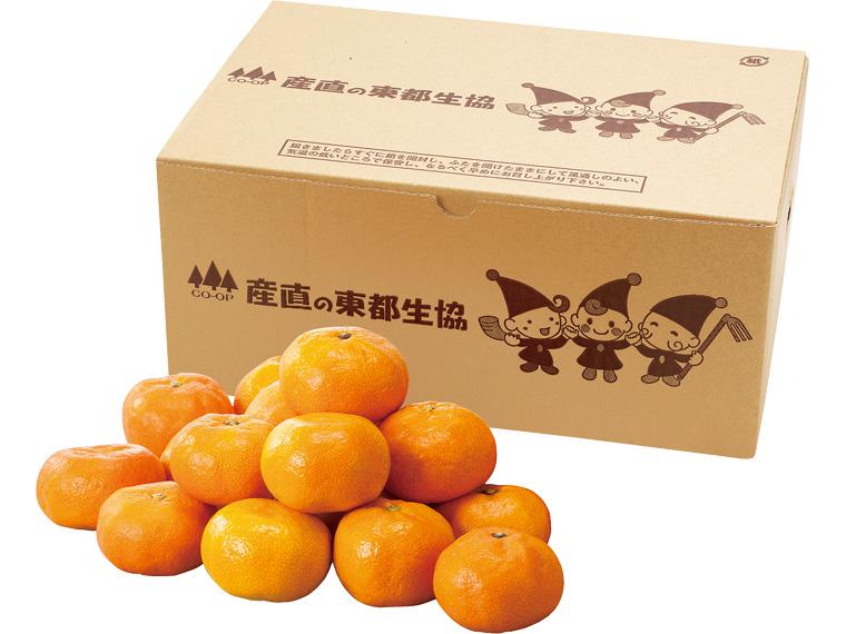 糖度保証　有田（和歌山）みかん（箱規格） 2kg箱（2S〜L）