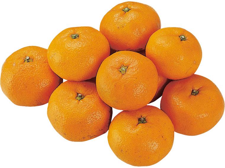 青島みかん８００ｇ（Ｍ～３Ｌ）　　　　