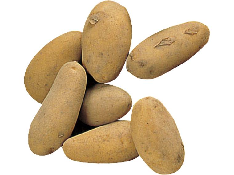 じゃがいも（メークイン） 700g