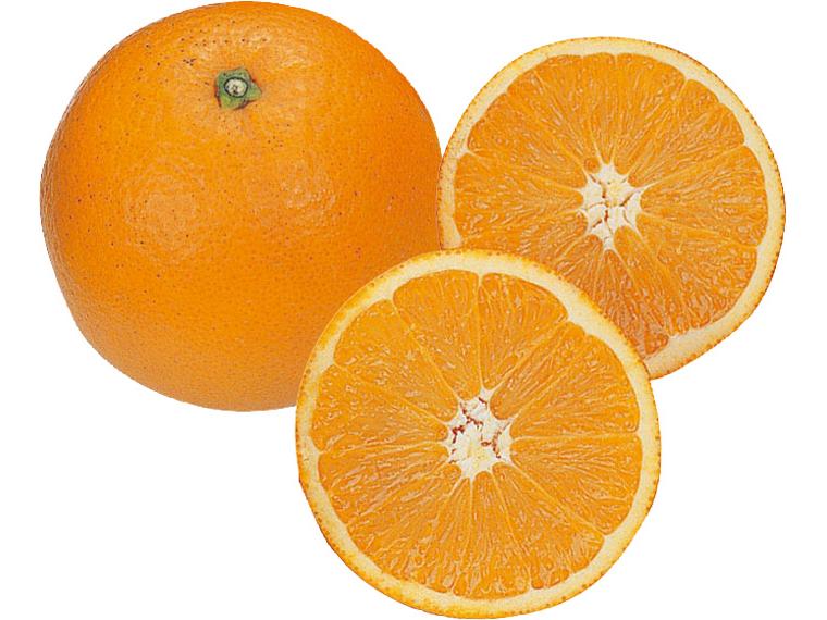 ネーブルオレンジ 600g（2〜4玉）（M〜2L）
