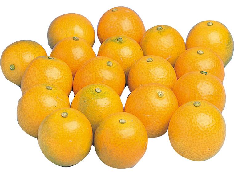 金柑（きんかん） 250g