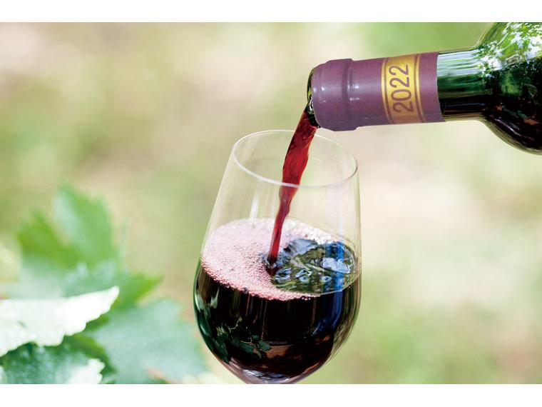 酸化防止剤無添加　あじろん初しぼり（赤） 720ml